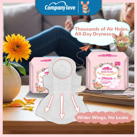 Company Love 0.1cm裸感超薄卫生巾（12片装）| 瞬吸干爽全透气日夜用姨妈巾 纯棉亲肤防侧漏带护翼不闷热