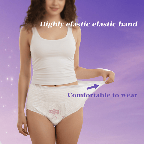 Seluar Haid Wanita Company Love (Ansleep Pants) | Tuala Wanita Seluar Disposable Period Underwear 360° Kalis Bocor Malam Selesa Bernafas